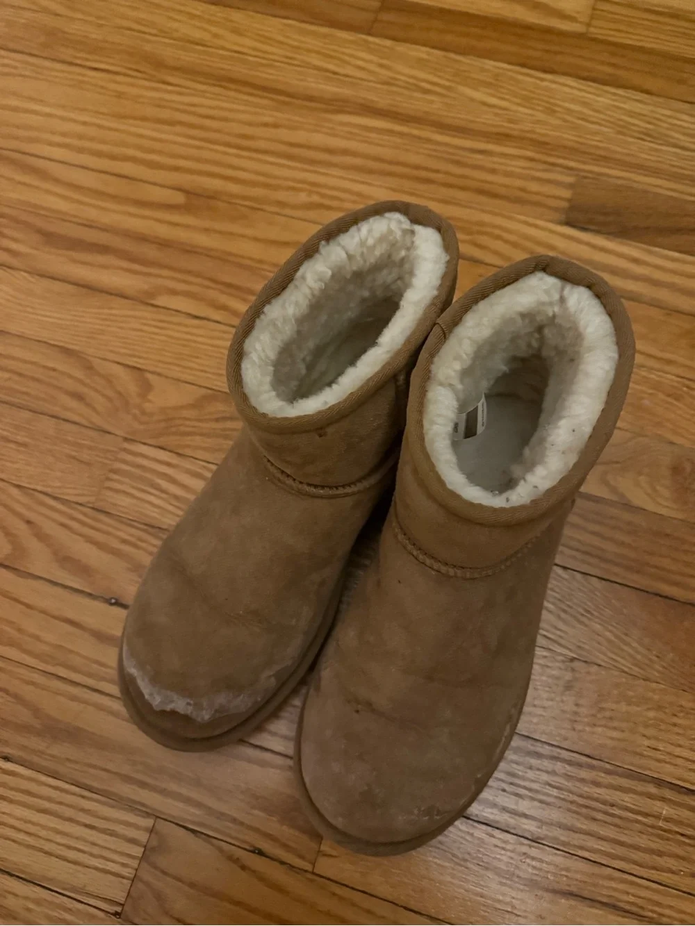 Classic UGG Shearling-Lined Short Winter Boots in Tan